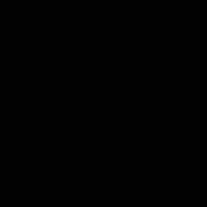 Meet your Posher, Ronaldo